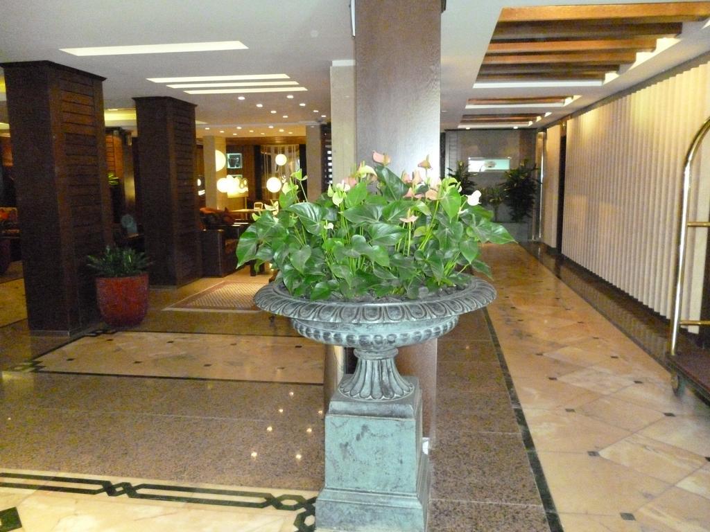 דוחה Al Bustan Hotel מראה חיצוני תמונה